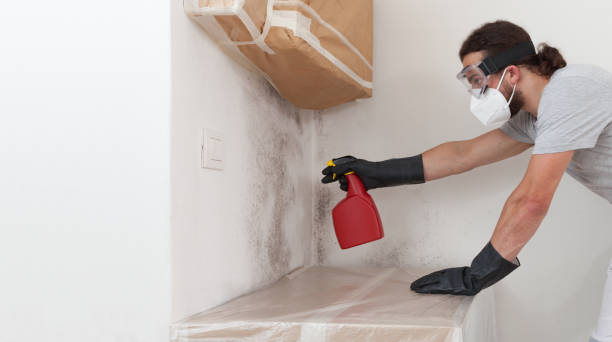 Professional Mold Removal technician working in Montgomery Village, MD